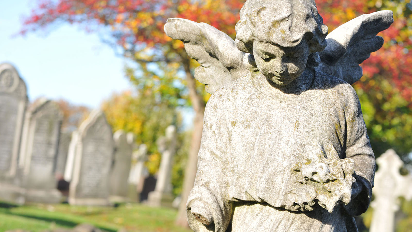 Gold Digger? Woman Shovels for DNA and Inheritance